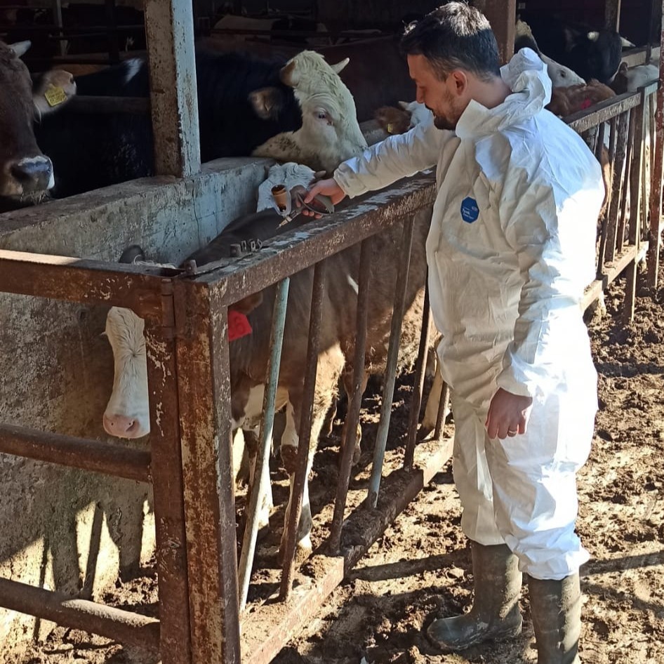 Hayvan sağlığı güvence altına alınıyor
