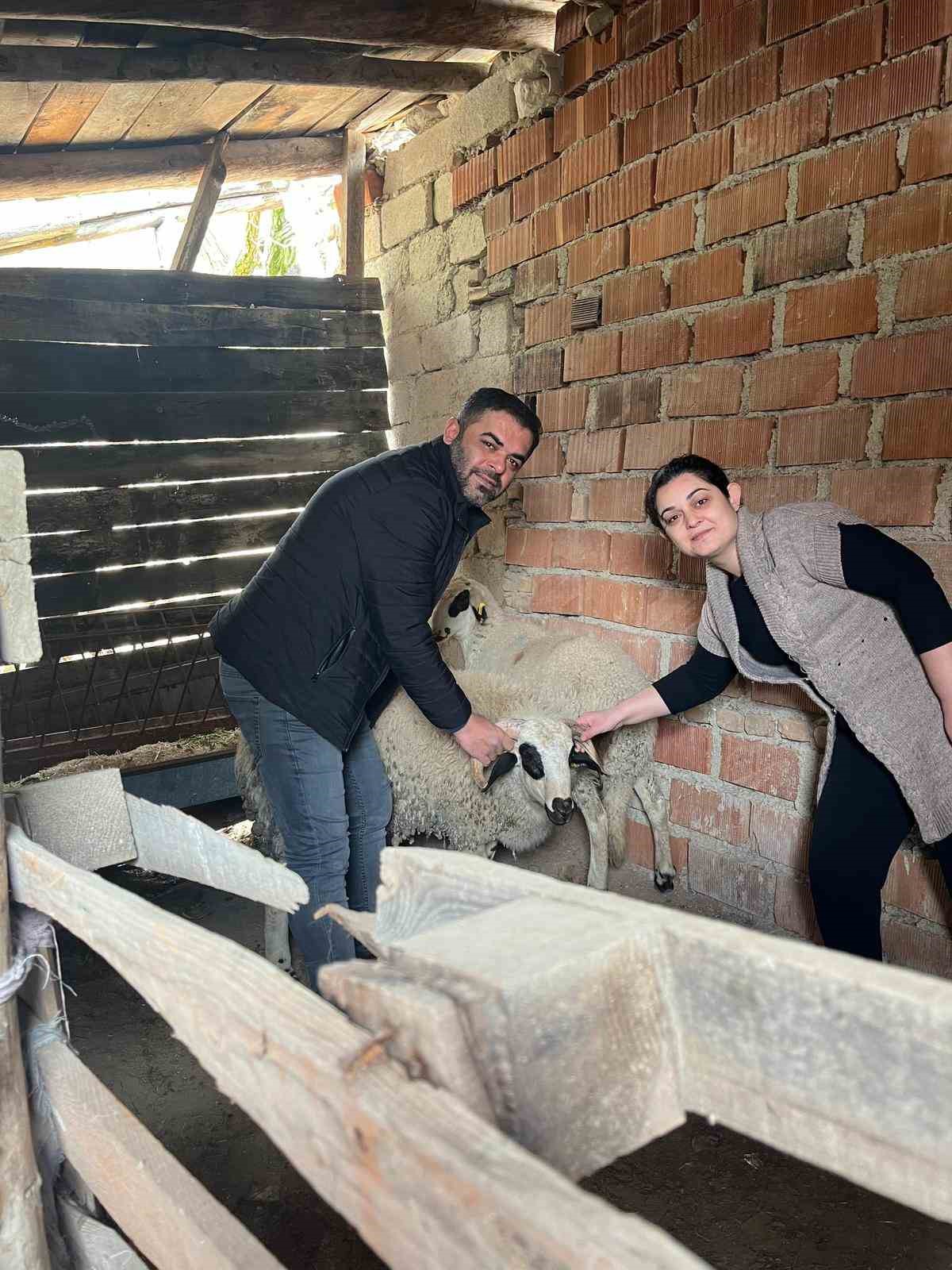 Hayvancılık desteği üreticileri sevindirdi
