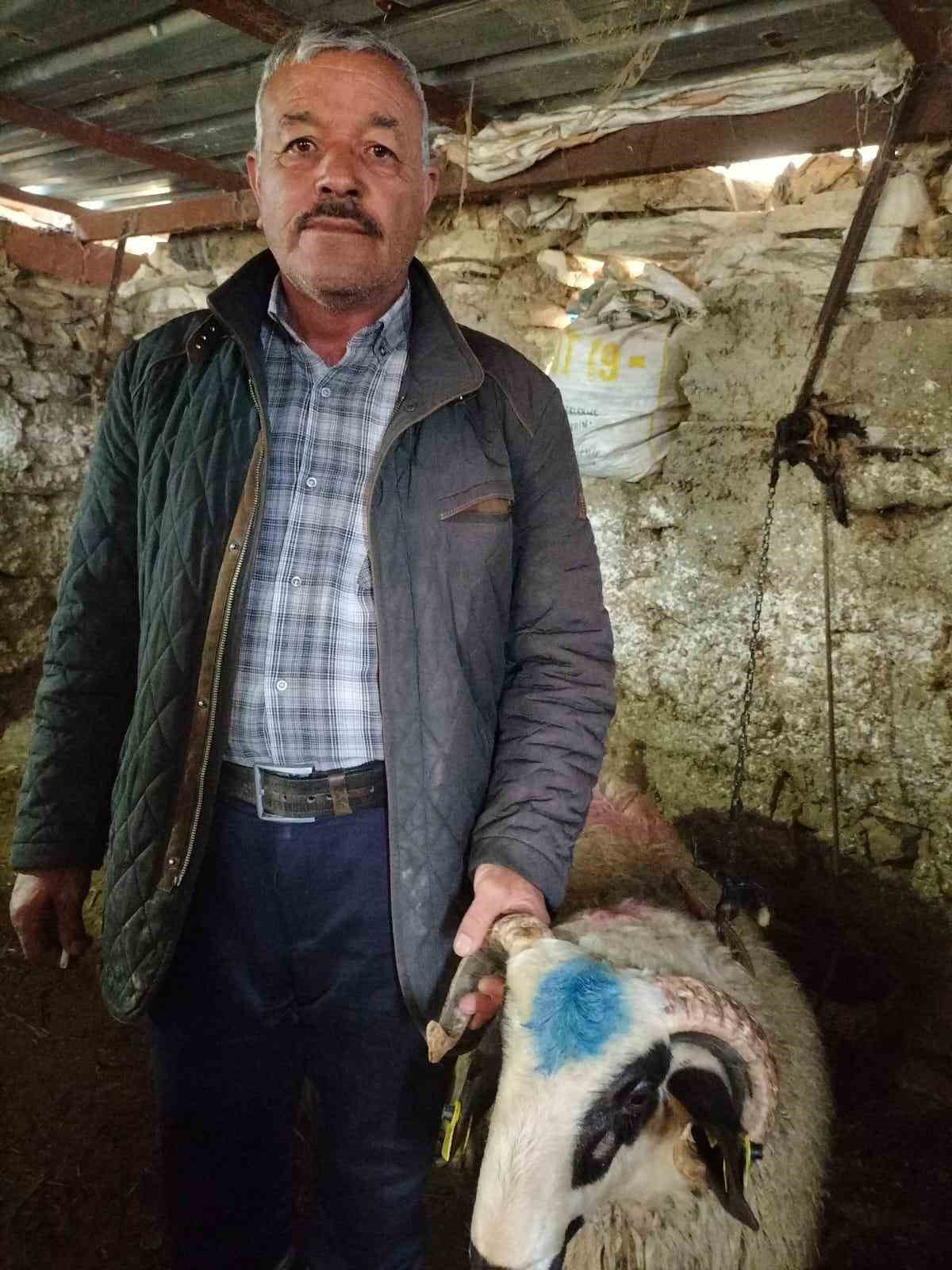 Hayvancılık desteği üreticileri sevindirdi
