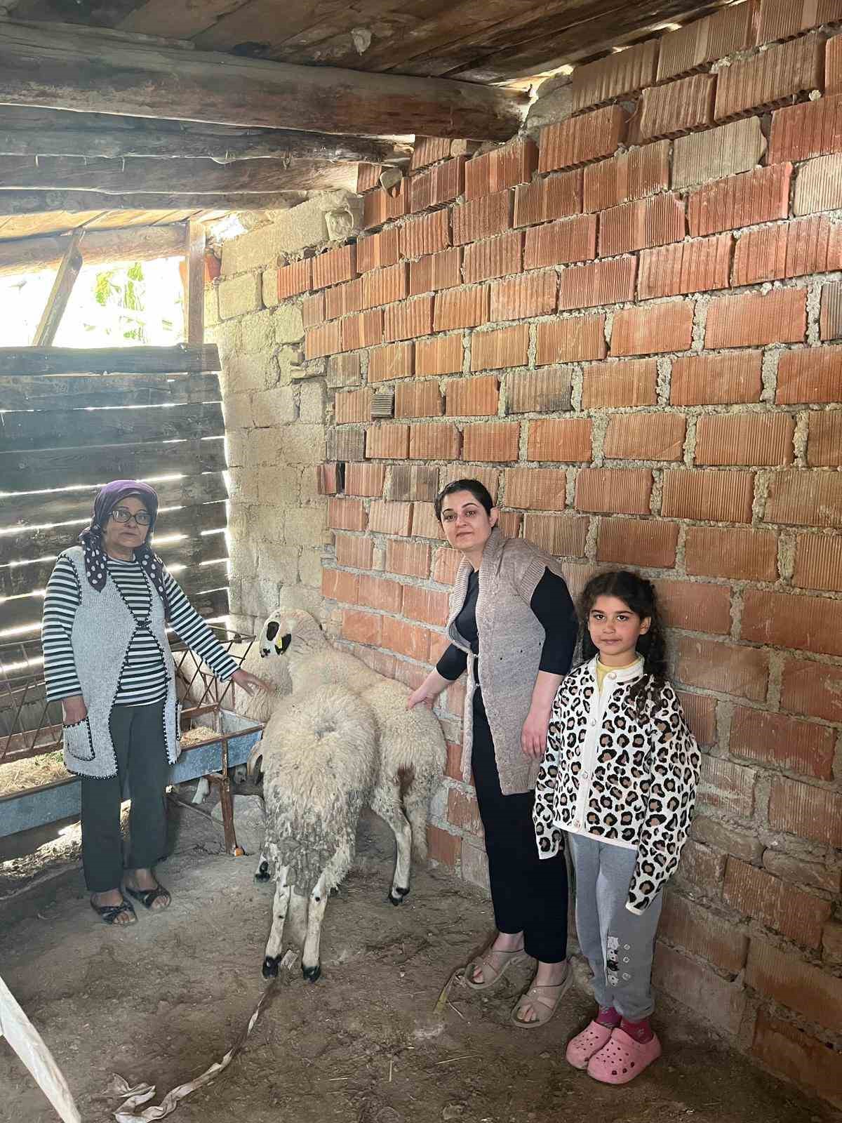 Hayvancılık desteği üreticileri sevindirdi
