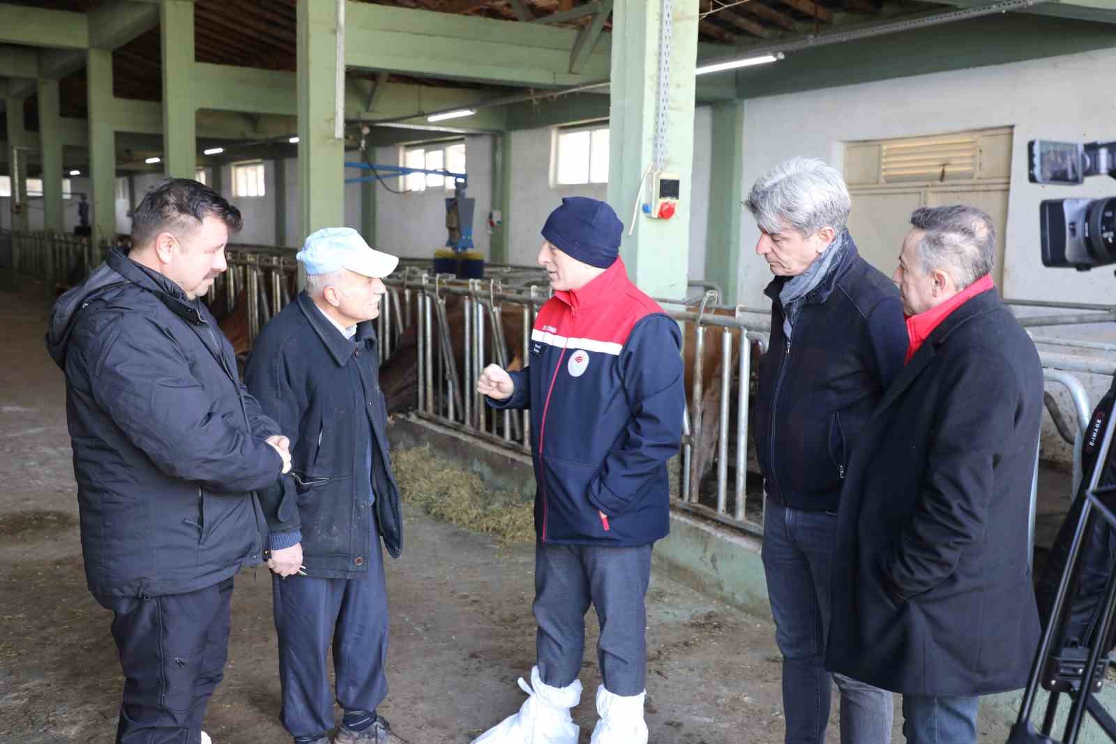 Hayvancılıkta örnek işletmenin ’Hastalıktan Ari Sertifikası’ yenilendi
