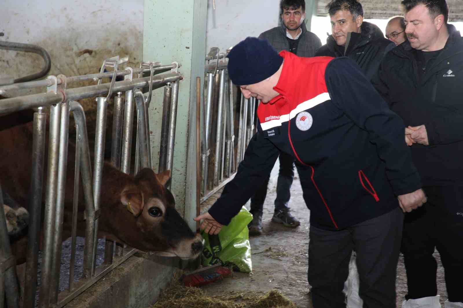 Hayvancılıkta örnek işletmenin ’Hastalıktan Ari Sertifikası’ yenilendi
