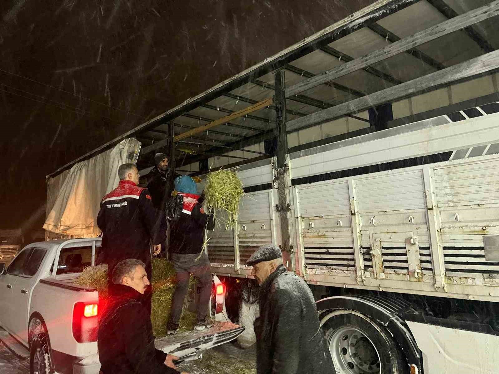 Hayvanlar aç kalmasın diye imdada yetiştiler
