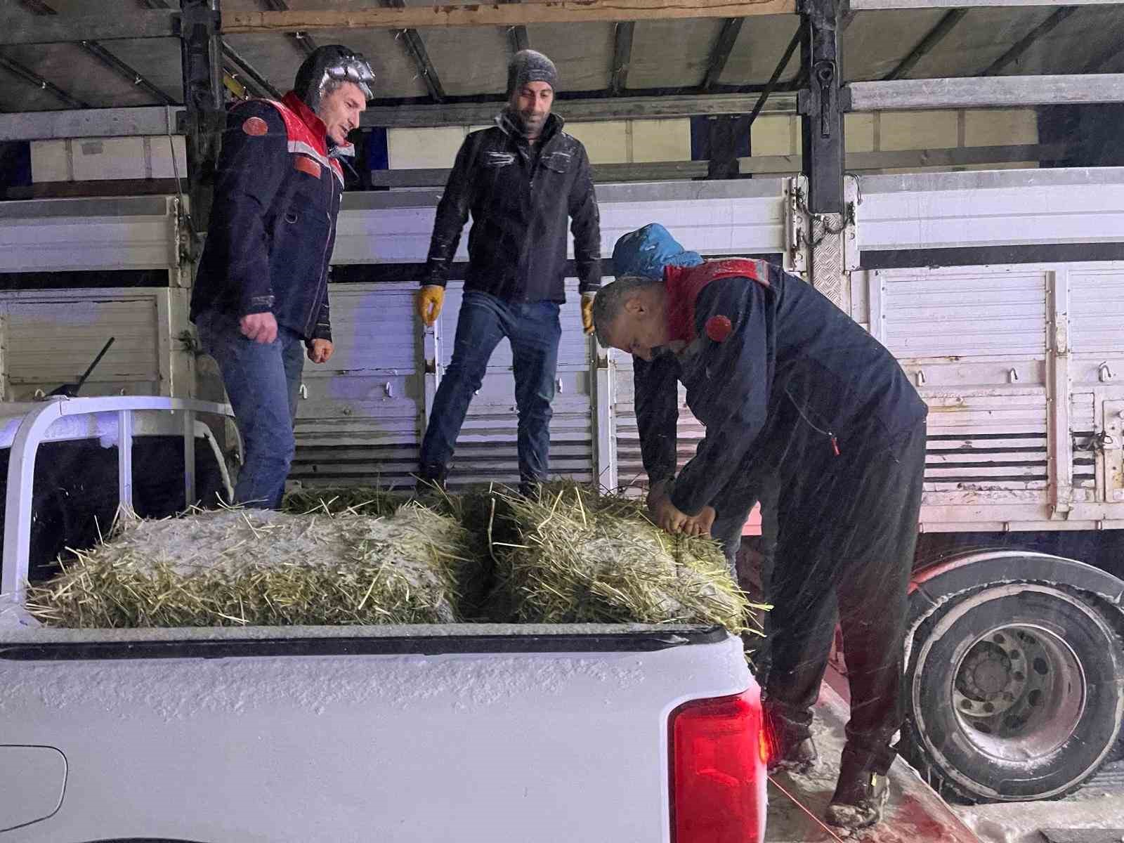 Hayvanlar aç kalmasın diye imdada yetiştiler
