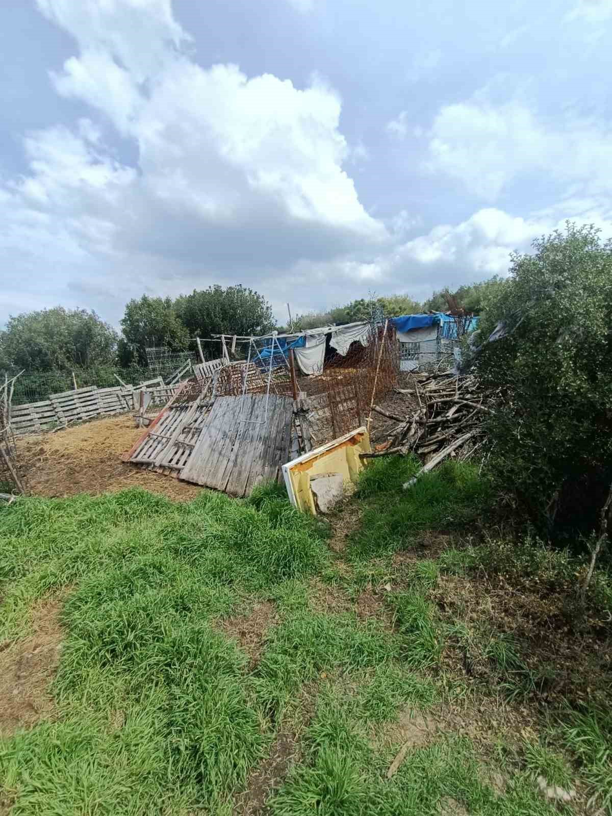 Hepsi zabıta ekiplerinin baskınında ortaya çıktı
