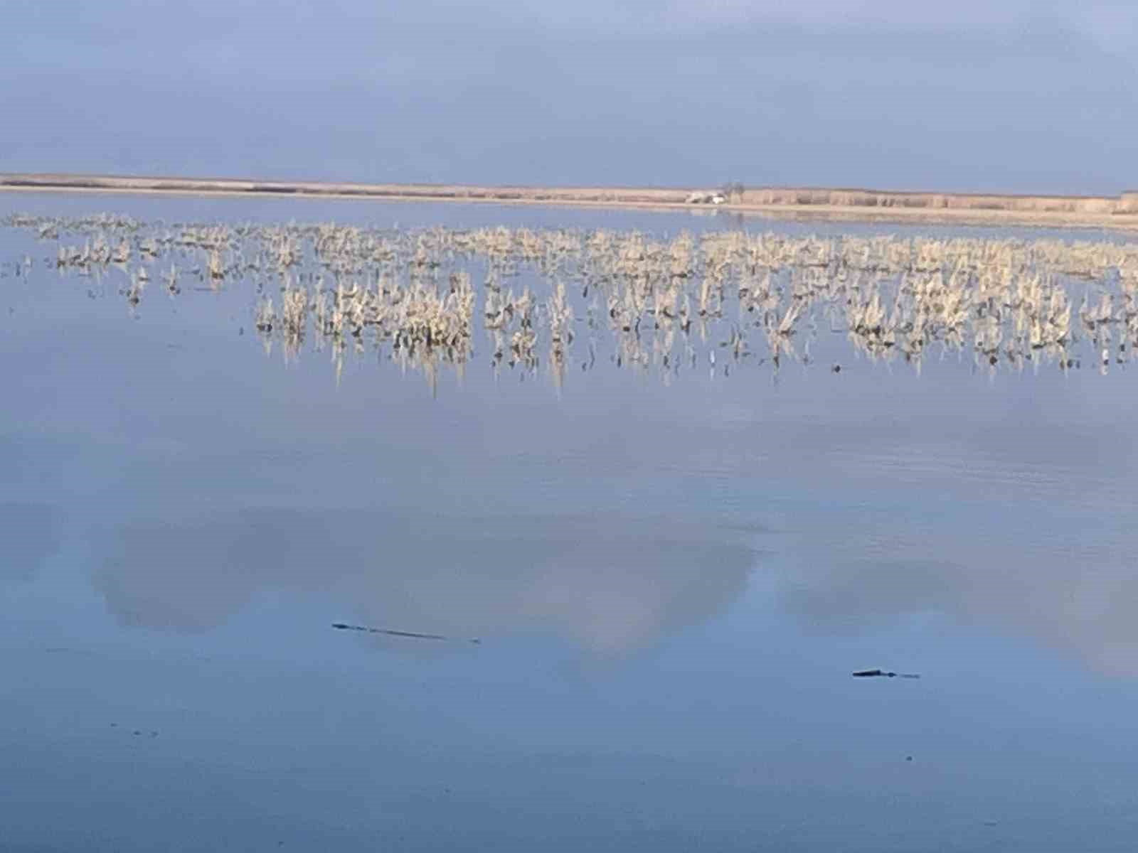 Her damlanın Eber Gölü’ne ulaşması için topyekun mücadele
Her damlanın Eber Gölü’ne ulaşması için topyekun mücadele