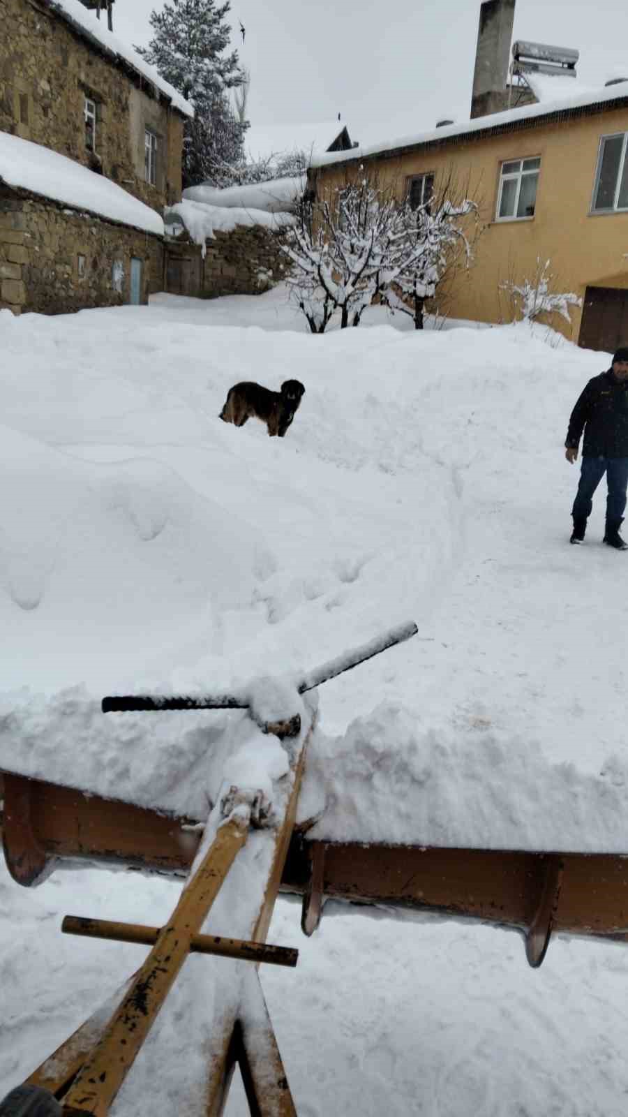 "Her şey devletten beklenmez" diyerek köy yollarını kendi imkanlarıyla temizlediler
