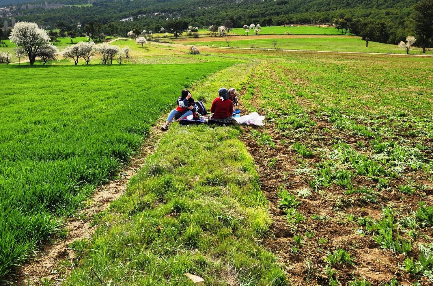 Hisarcık’ta tarımsal saha çalışmaları yapıldı
