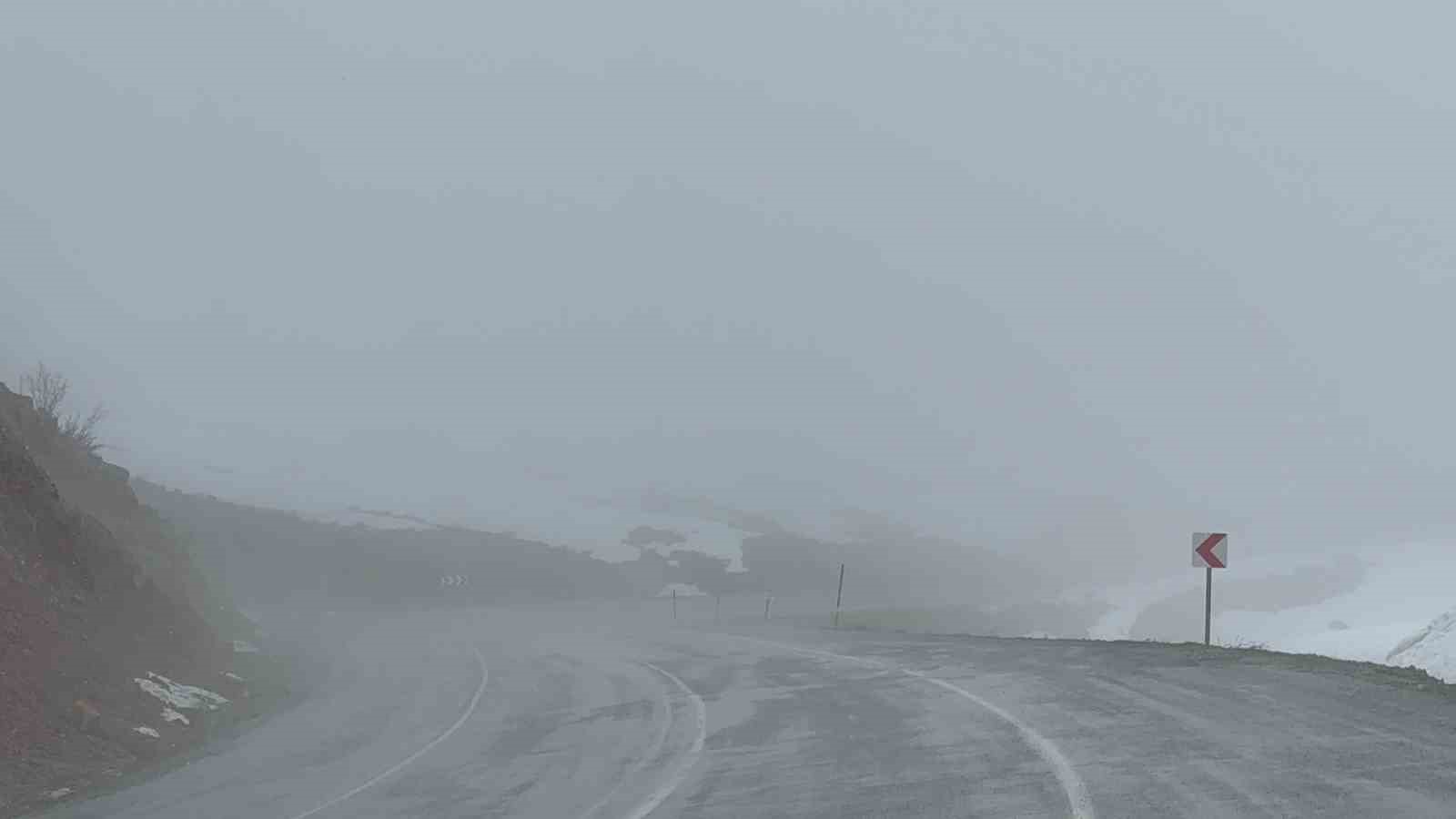 Hizan’da yoğun sis
