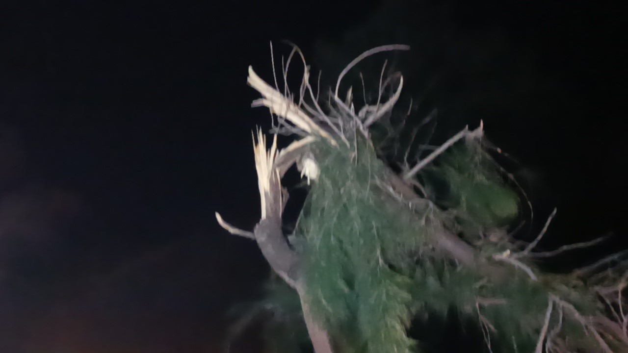 Hortum Manavgat’ı savaş alanına çevirdi
