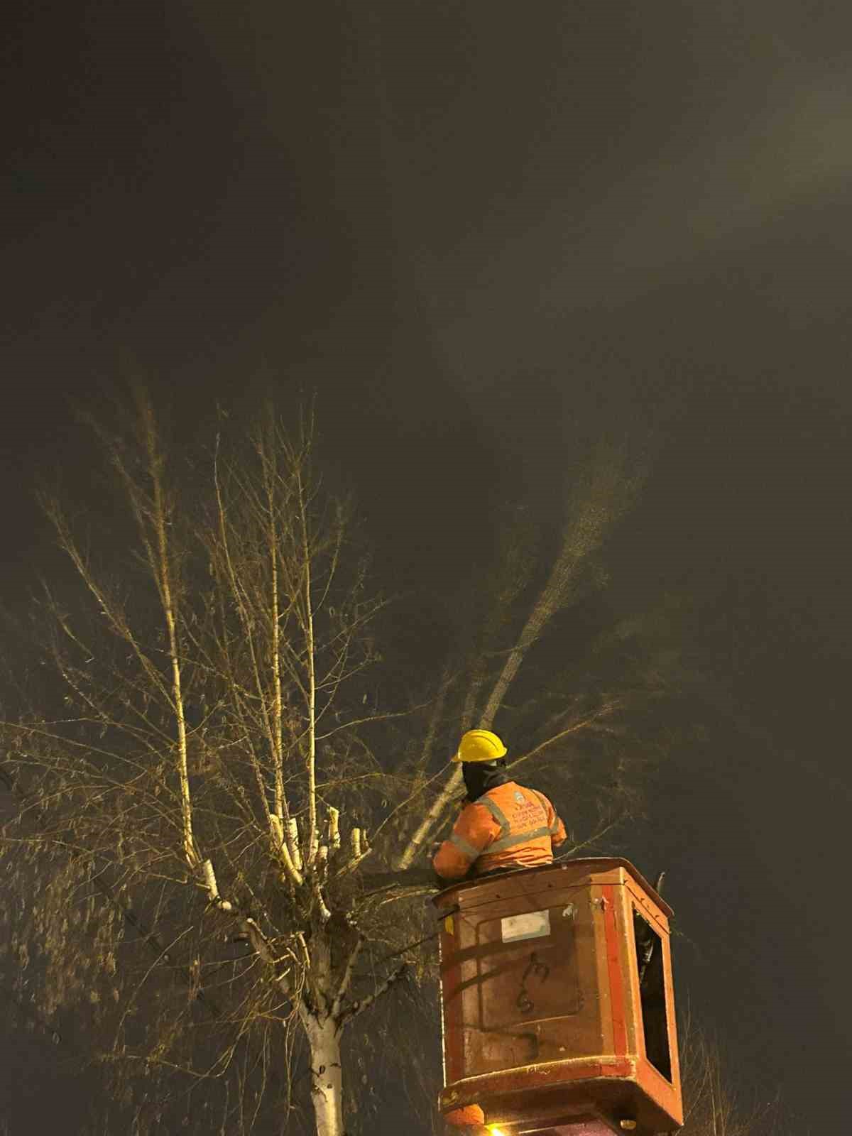 Hürmetçi’de sıcak asfalt, çevre temizliği ve yeşil alan atağı
