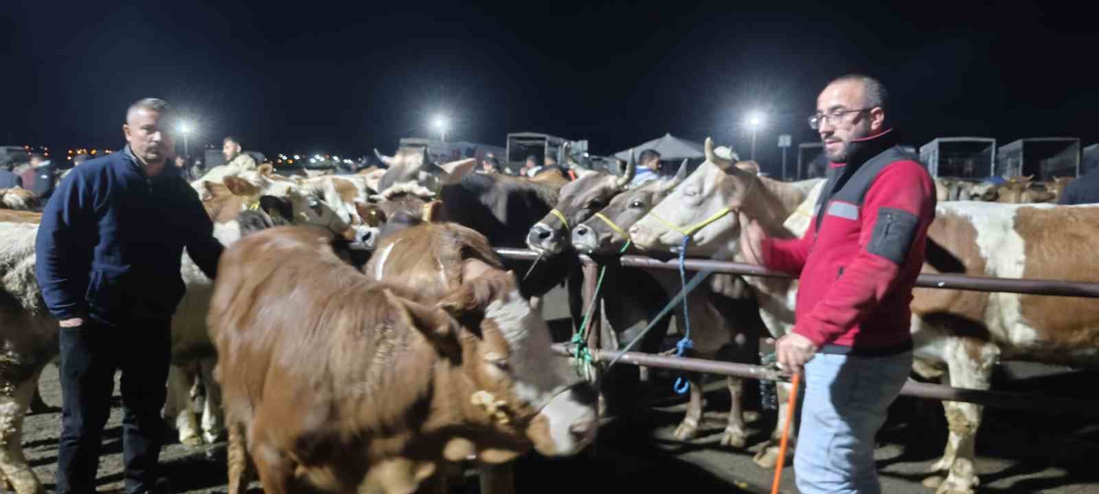 İç Anadolu’nun en büyük hayvan pazarında yoğun kurban mesaisi başladı
