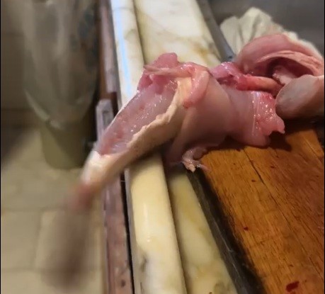 İçi temizlenen balık dakikalarca çırpınmaya devam etti
