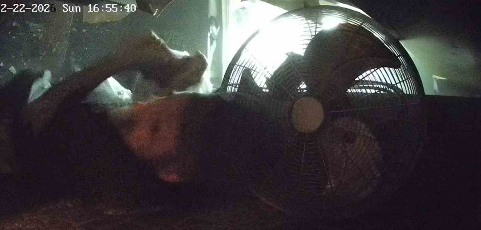 İftara saatler kala kebapçının tavanı çöktü, personel son anda kurtuldu
