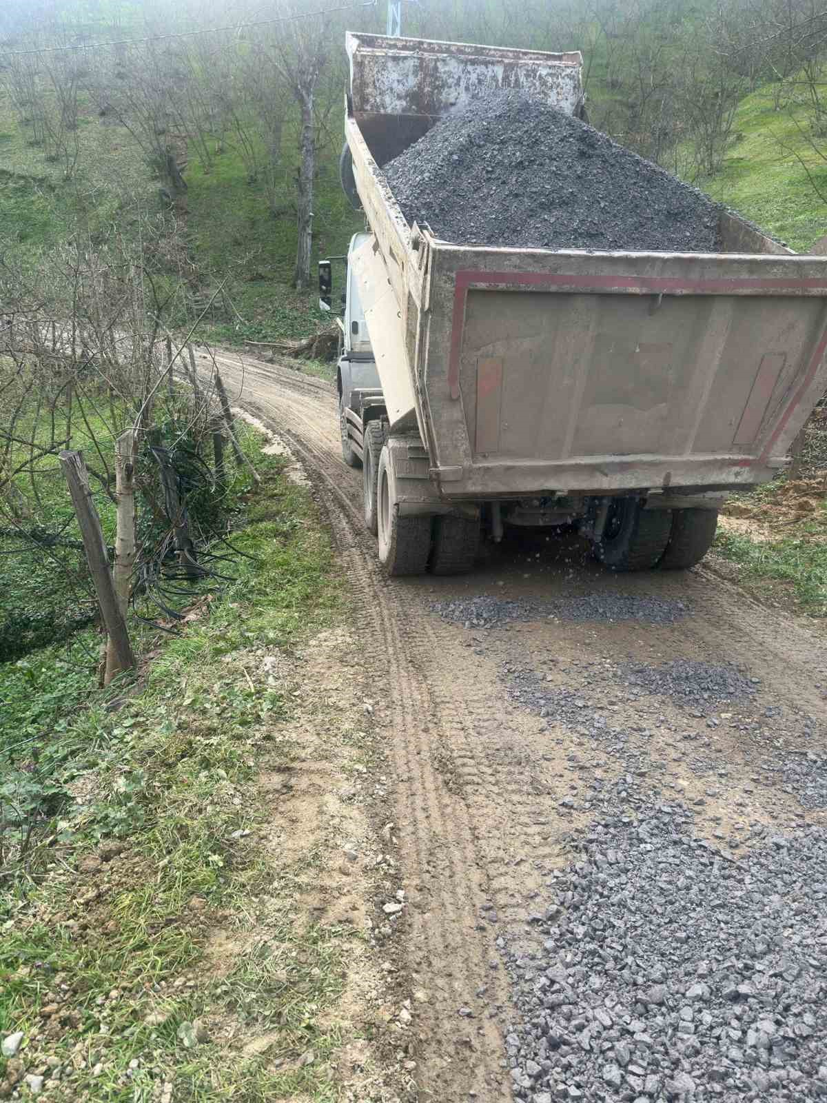 Iğdır köyünde bakım çalışmaları sürüyor
