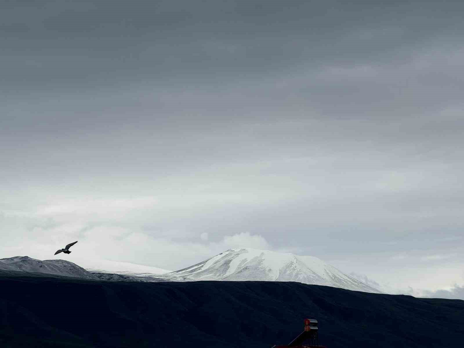 Iğdır Ovası’nı çevreleyen sıra dağlar yeniden beyaza büründü
