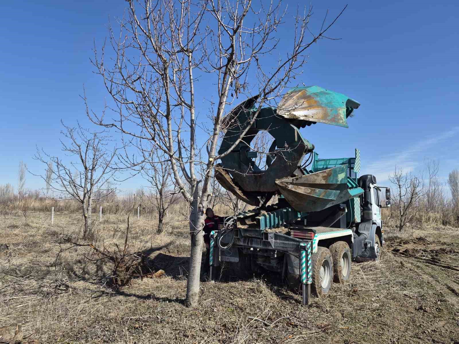 Iğdır’da 15-16 yıllık 77 kiraz ağacı taşınarak kesilmekten kurtarıldı
