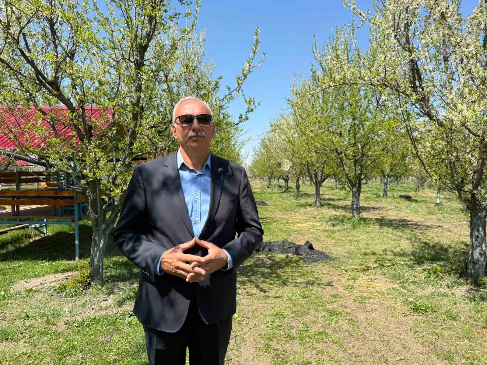 Iğdır’da çiftçiler meyve ağaçlarını dumanlama yöntemi ile soğuktan korudu
