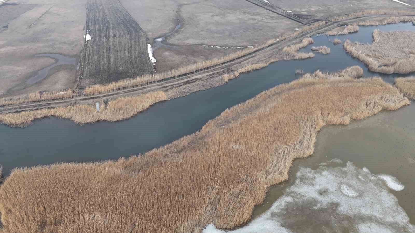 Iğdır’da donan Karasu Sazlığı’nda buzlar eriyor
