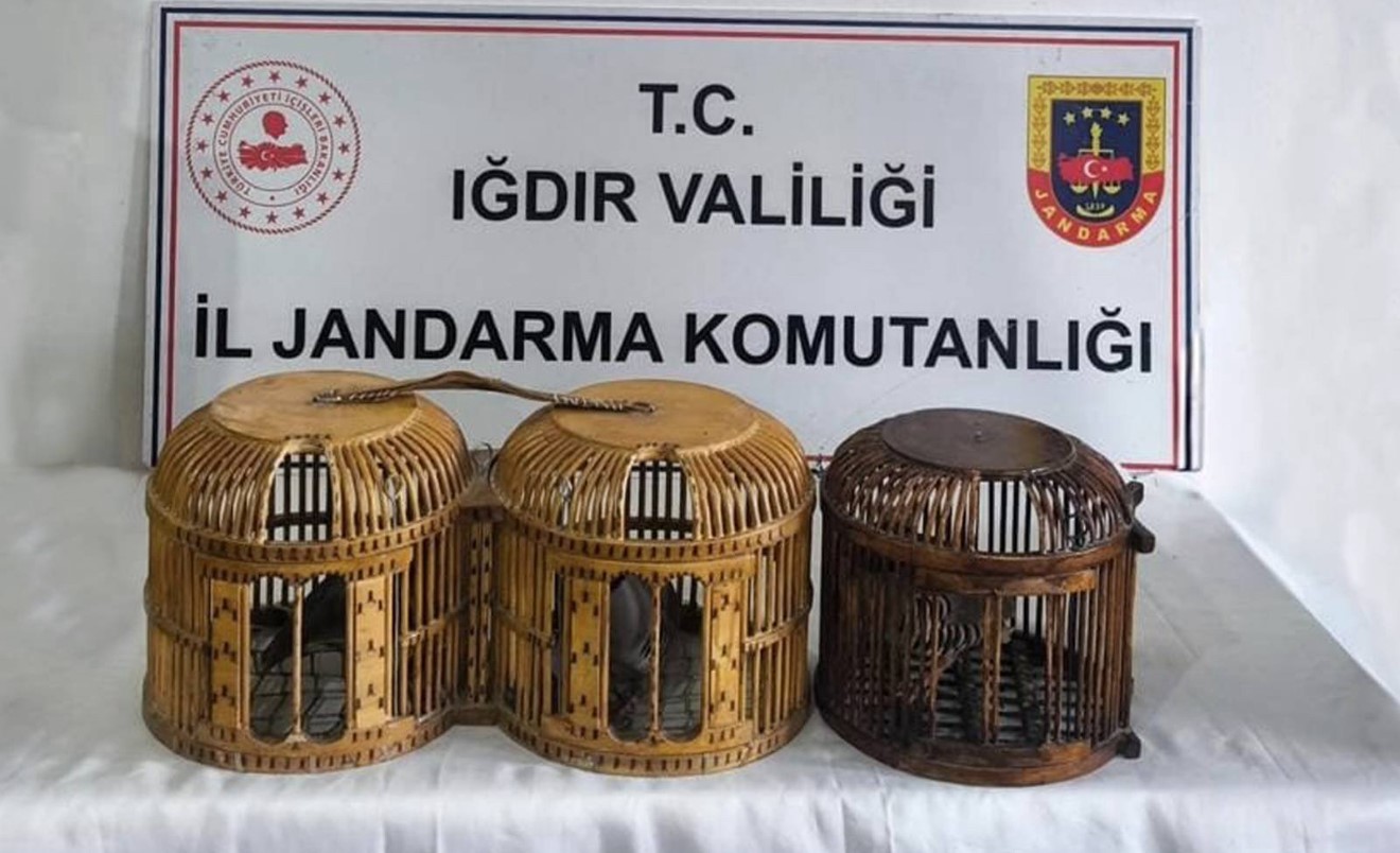 Iğdır’da kaçak keklik avına suçüstü: 72 bin TL ceza
