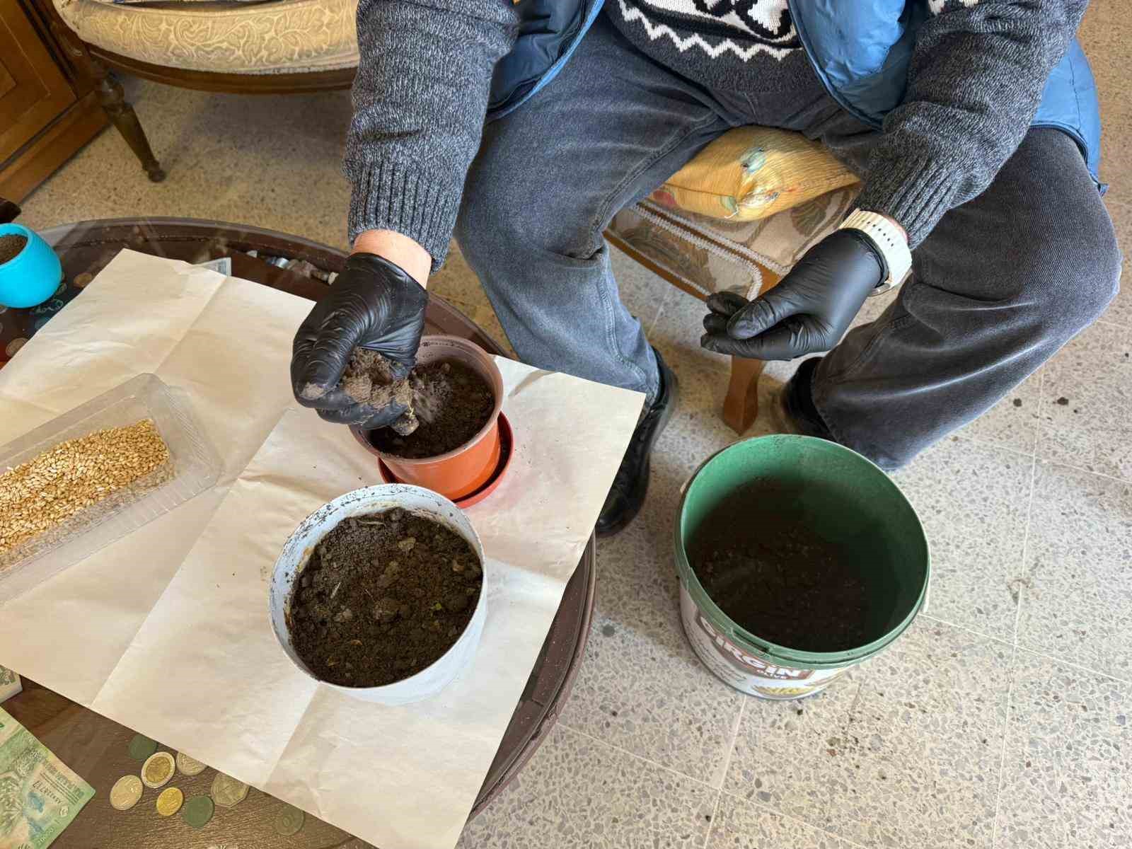 Iğdır’da Nevruz’un simgesi semeniler hazırlanmaya başlandı
