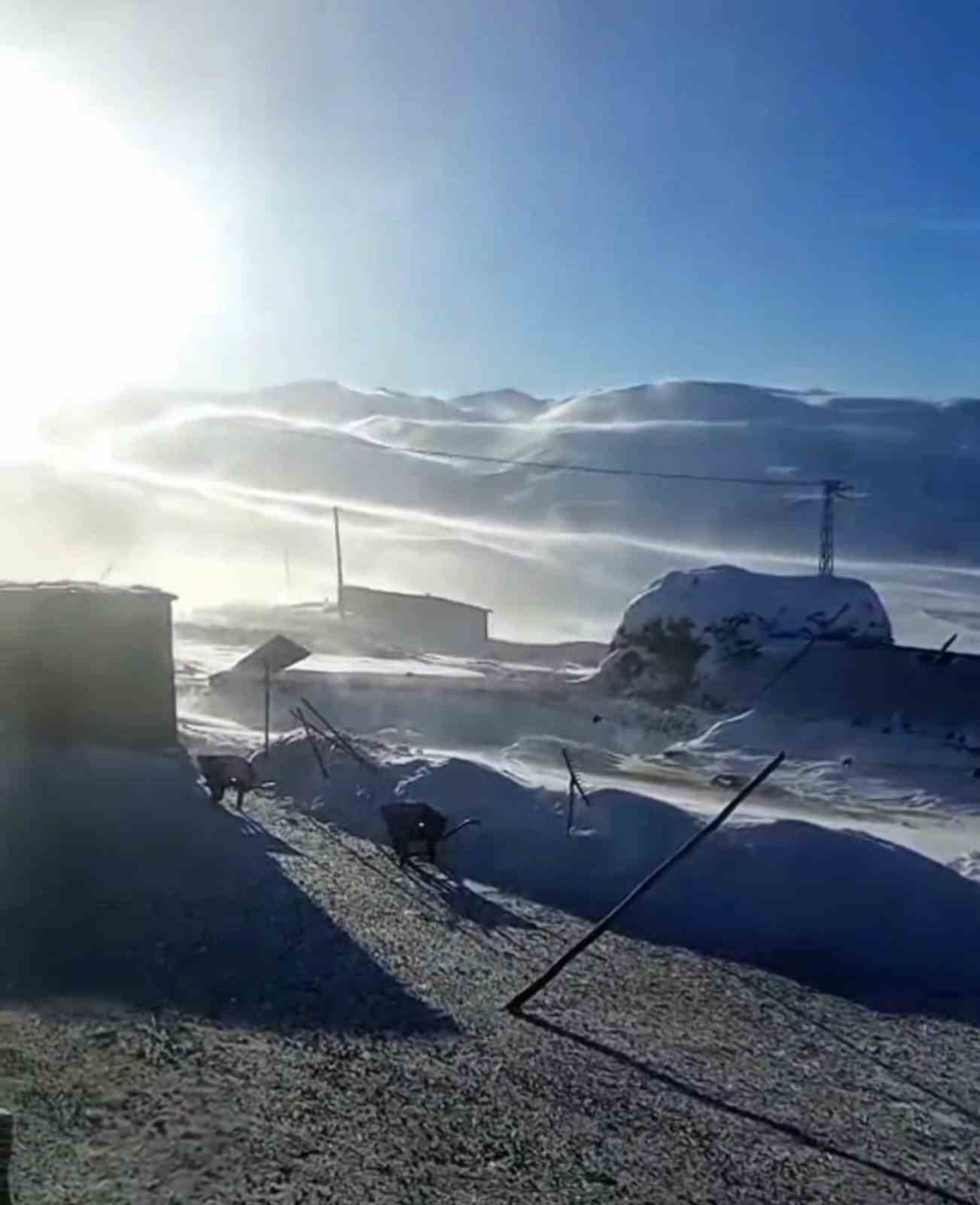 Iğdır’ın yüksek kesimlerinde tipi ve fırtına hayatı olumsuz etkiliyor
