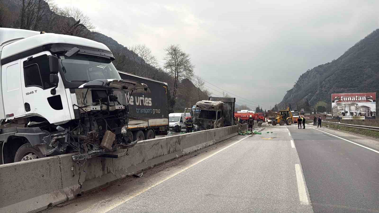 İki tır çarpıştı, D-650 savaş alanına döndü
