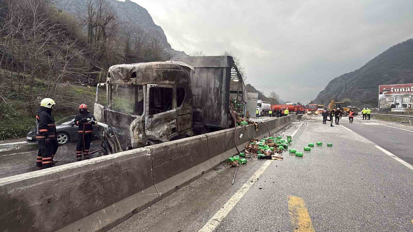 İki tır çarpıştı, D-650 savaş alanına döndü
