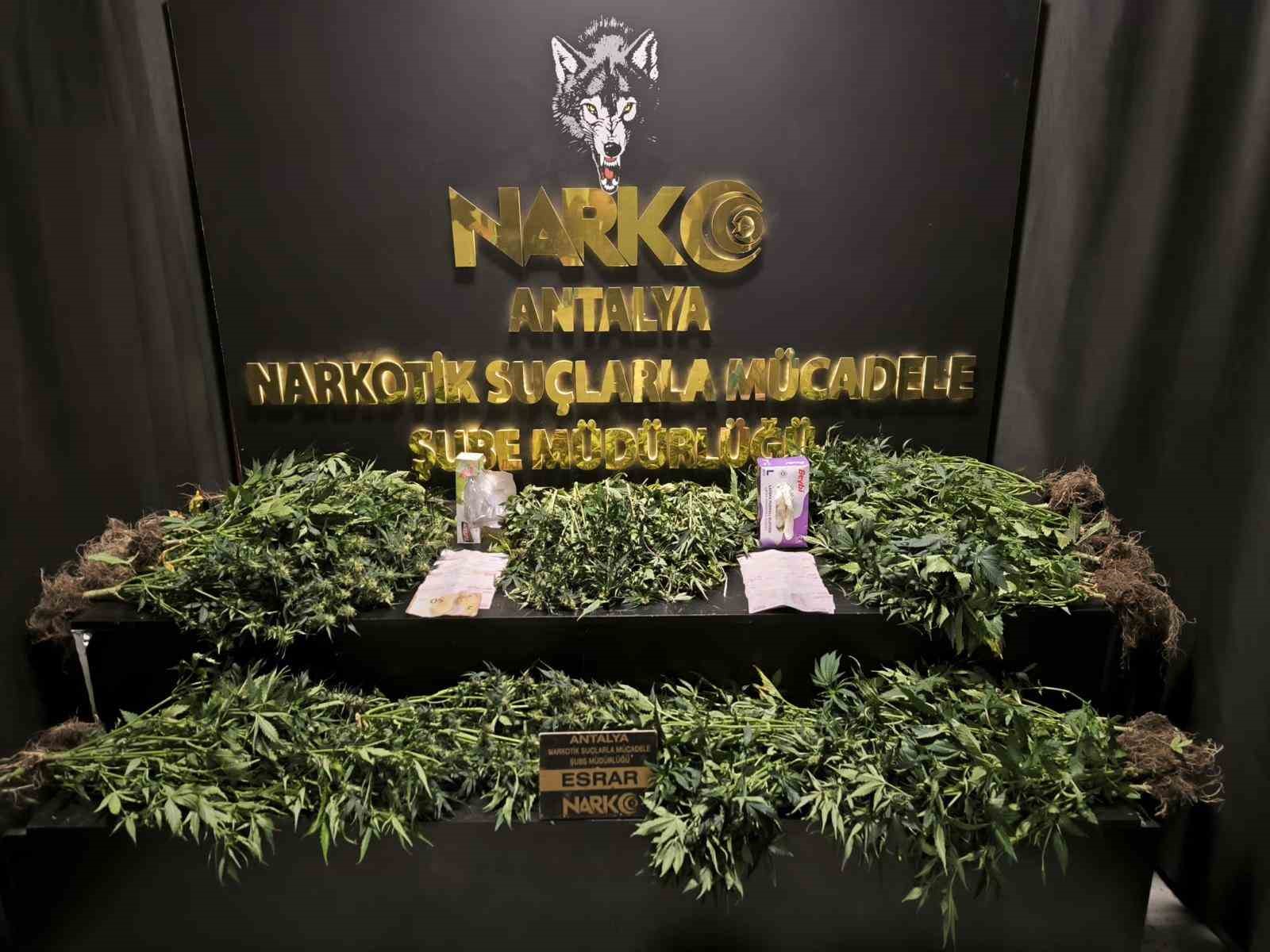 İl emniyet müdürünün yönettiği operasyonda çok miktarda uyuşturucu madde ele geçirildi
