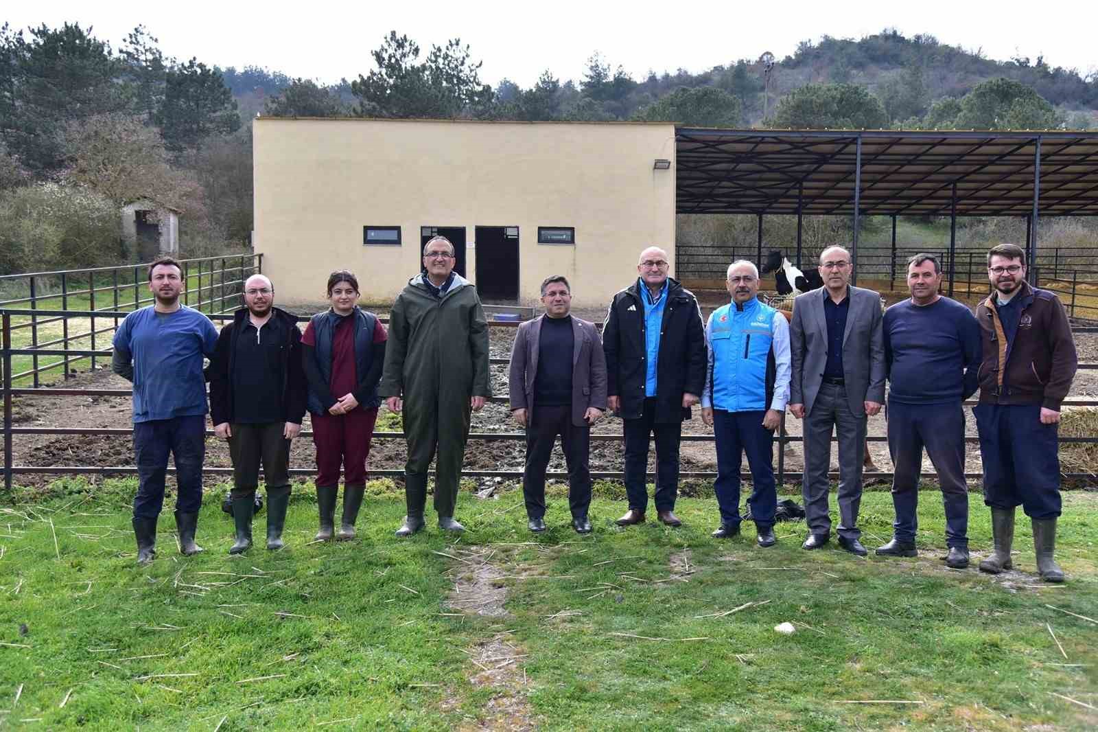 İlk tüp tay Balat 2 yaşında
