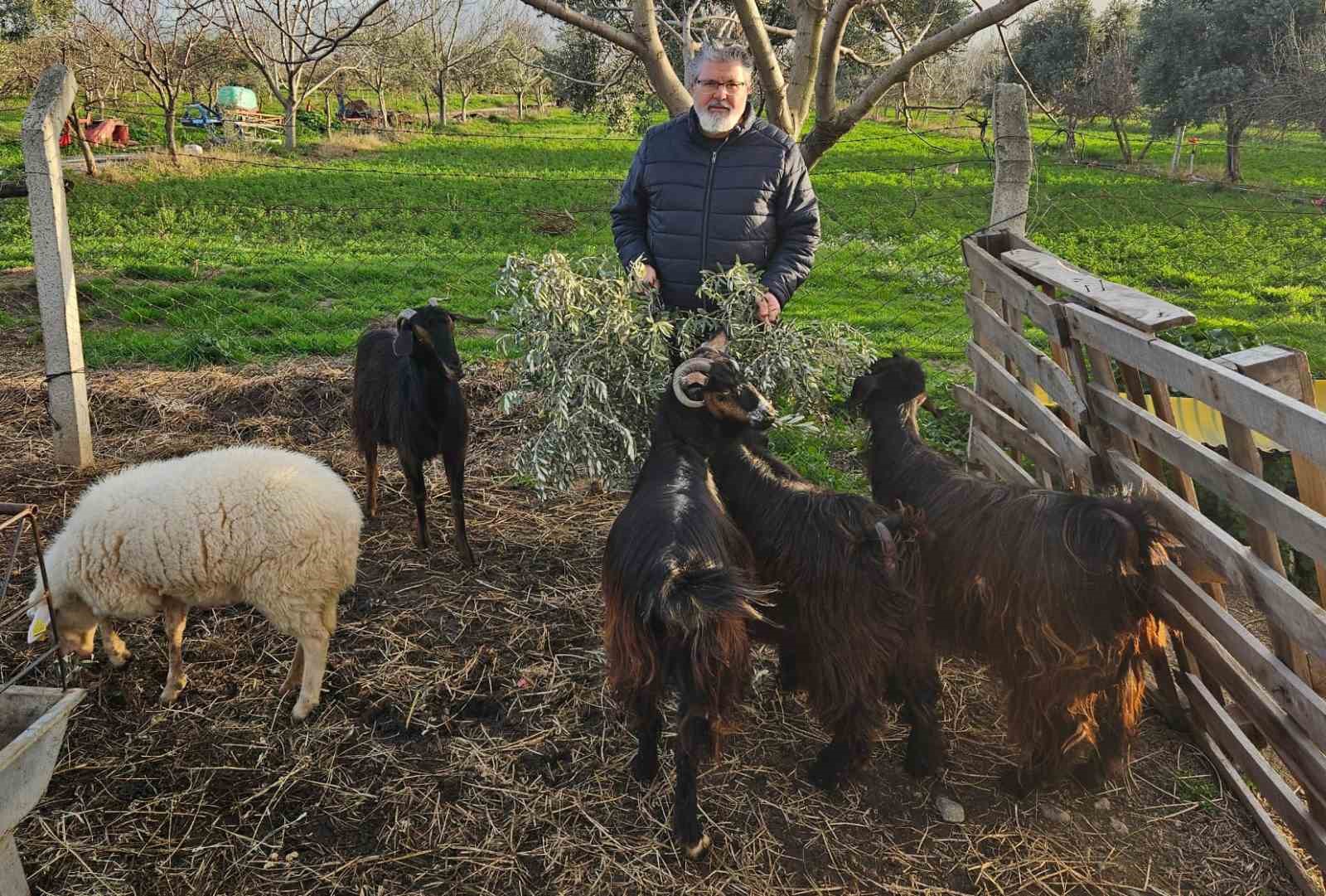 İncir ve Zeytin Bilimsel Araştırmalar Akademisi’nden yeni proje
