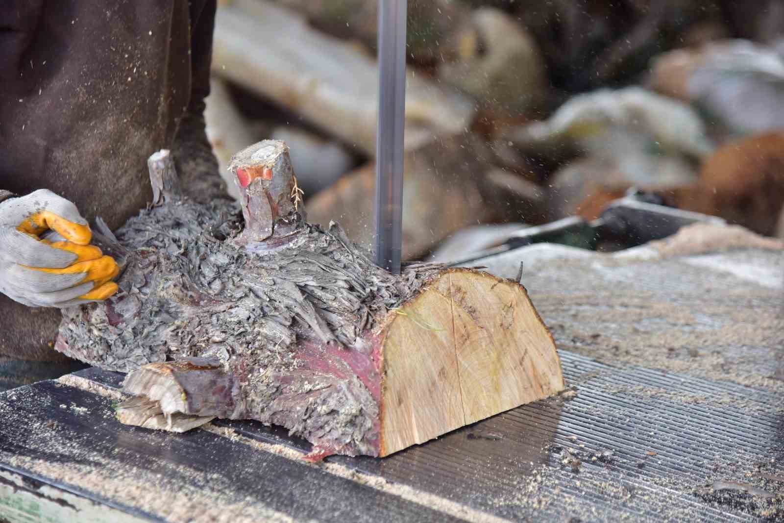 İncirliova Belediyesi’nden ailelere yakacak desteği

