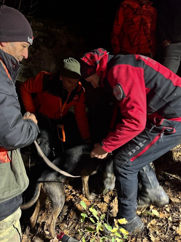 İNDAK’tan başarılı hayvan kurtarma operasyonu
