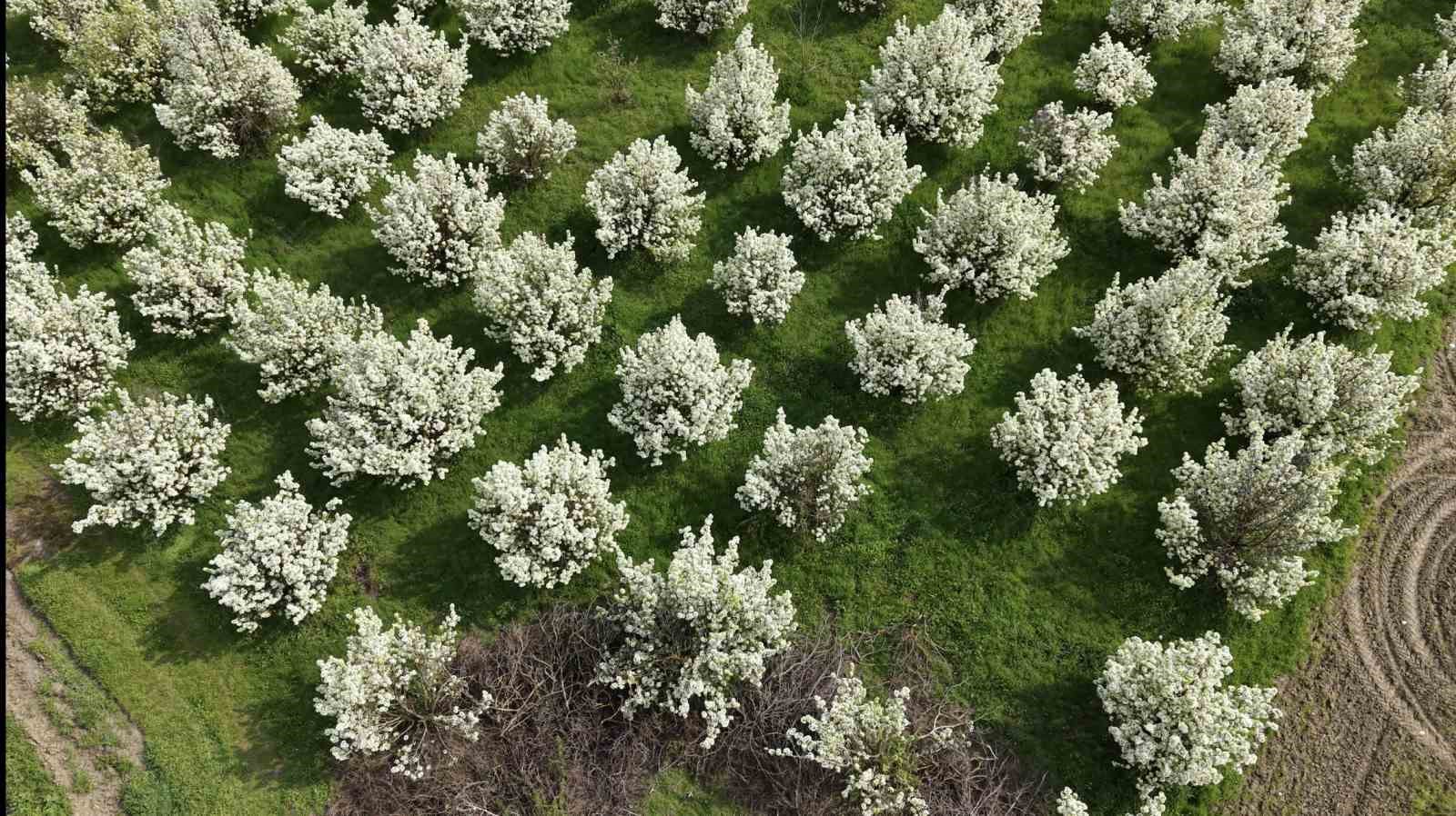 İnegöl’de kartpostallık görüntüler
İnegöl’de kartpostallık görüntüler