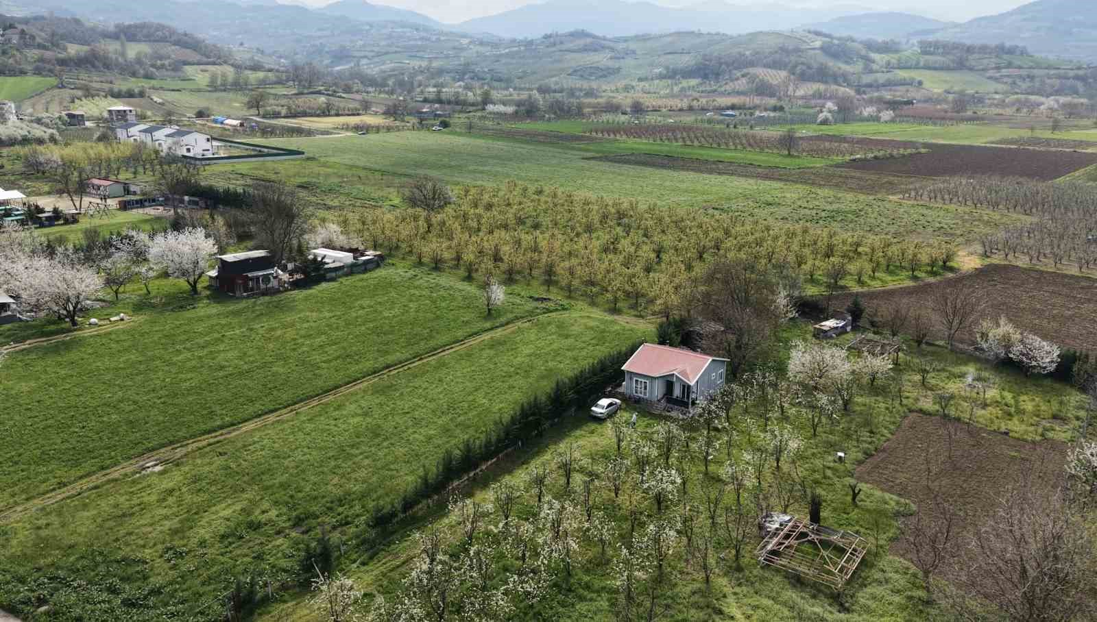 İnegöl’de kartpostallık görüntüler
İnegöl’de kartpostallık görüntüler