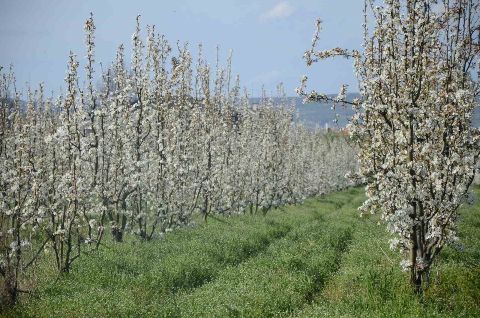 İnegöl’de kartpostallık görüntüler
İnegöl’de kartpostallık görüntüler