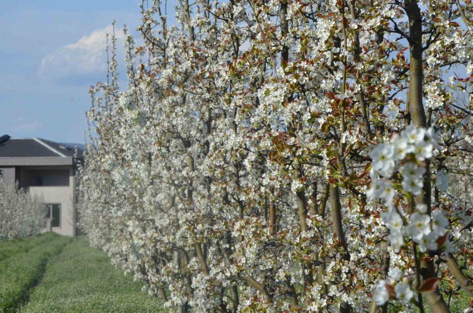 İnegöl’de kartpostallık görüntüler
İnegöl’de kartpostallık görüntüler