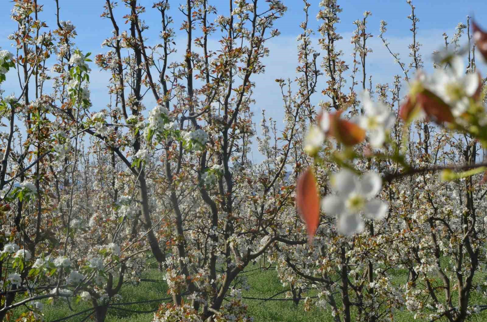 İnegöl’de kartpostallık görüntüler
İnegöl’de kartpostallık görüntüler