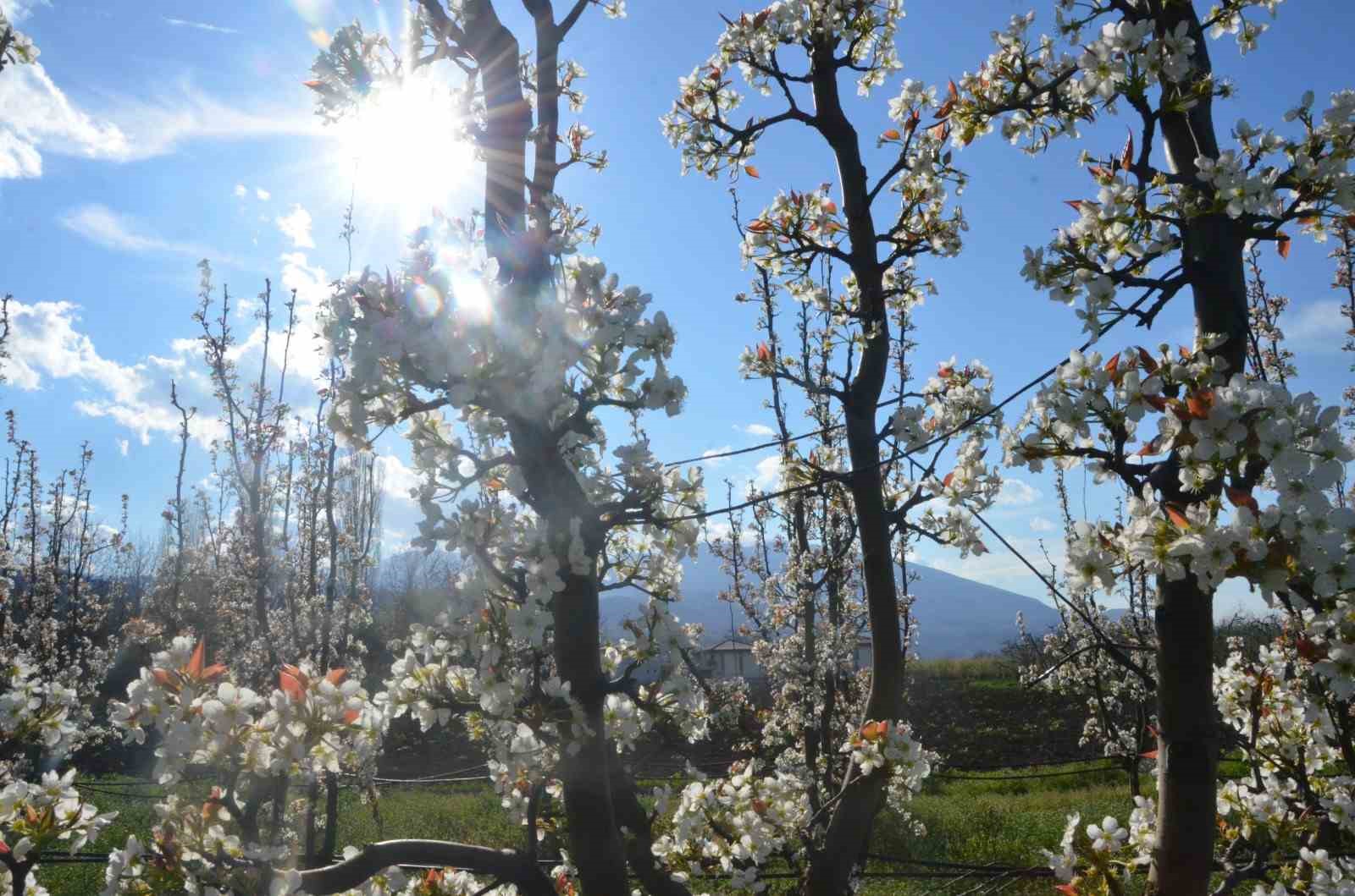 İnegöl’de kartpostallık görüntüler
İnegöl’de kartpostallık görüntüler