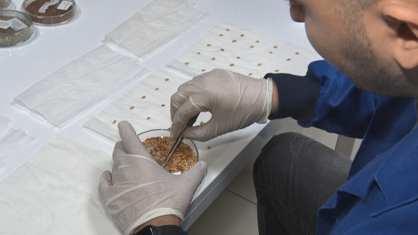 İran gerilimi sonrası gözler gıda güvenliğine çevrildi: Türkiye gen bankalarıyla hazırlıklı
İran gerilimi sonrası gözler gıda güvenliğine çevrildi: Türkiye gen bankalarıyla hazırlıklı