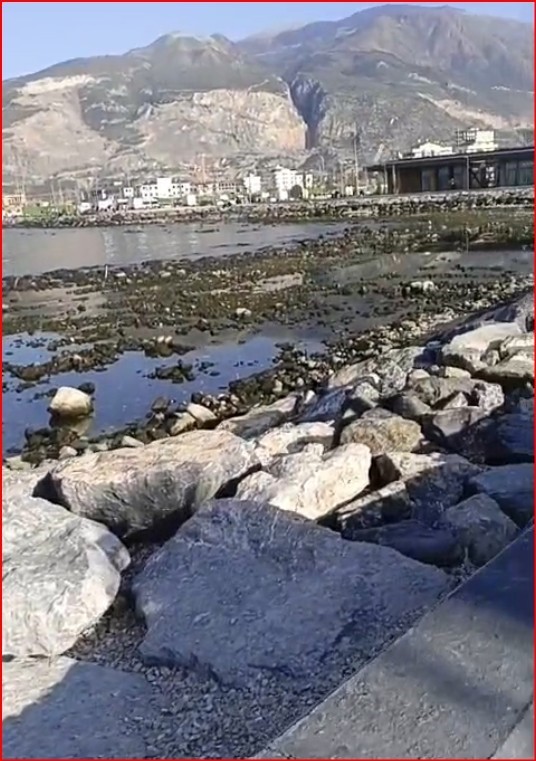 İskenderun Körfezi’nde denizde çekilme yaşandı
