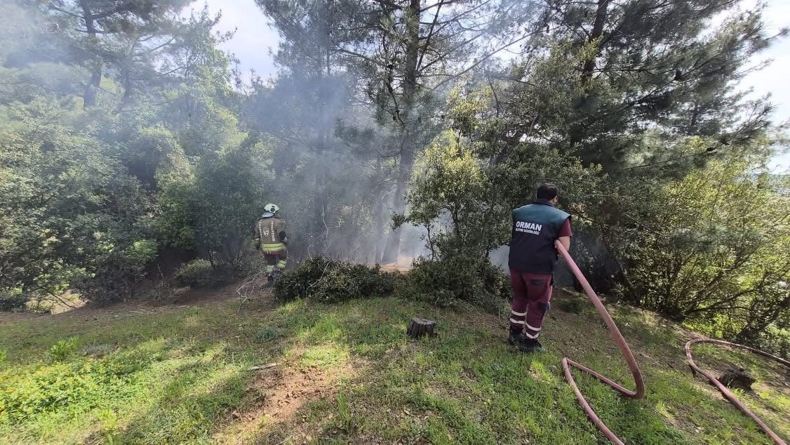 İskenderun’da orman yangını kontrol altına alındı
