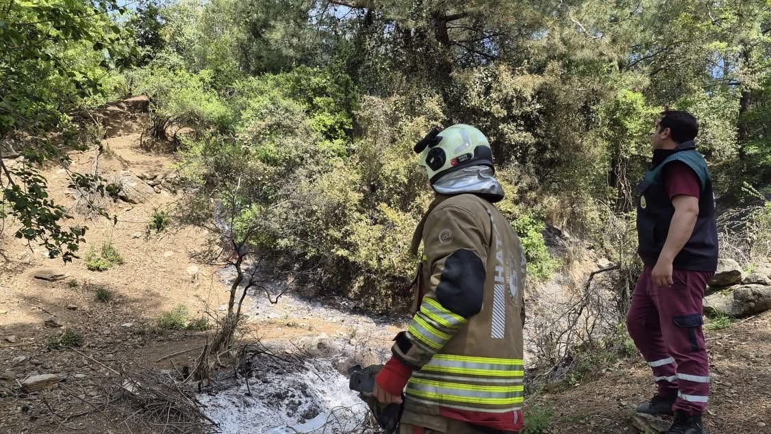 İskenderun’da orman yangını kontrol altına alındı
