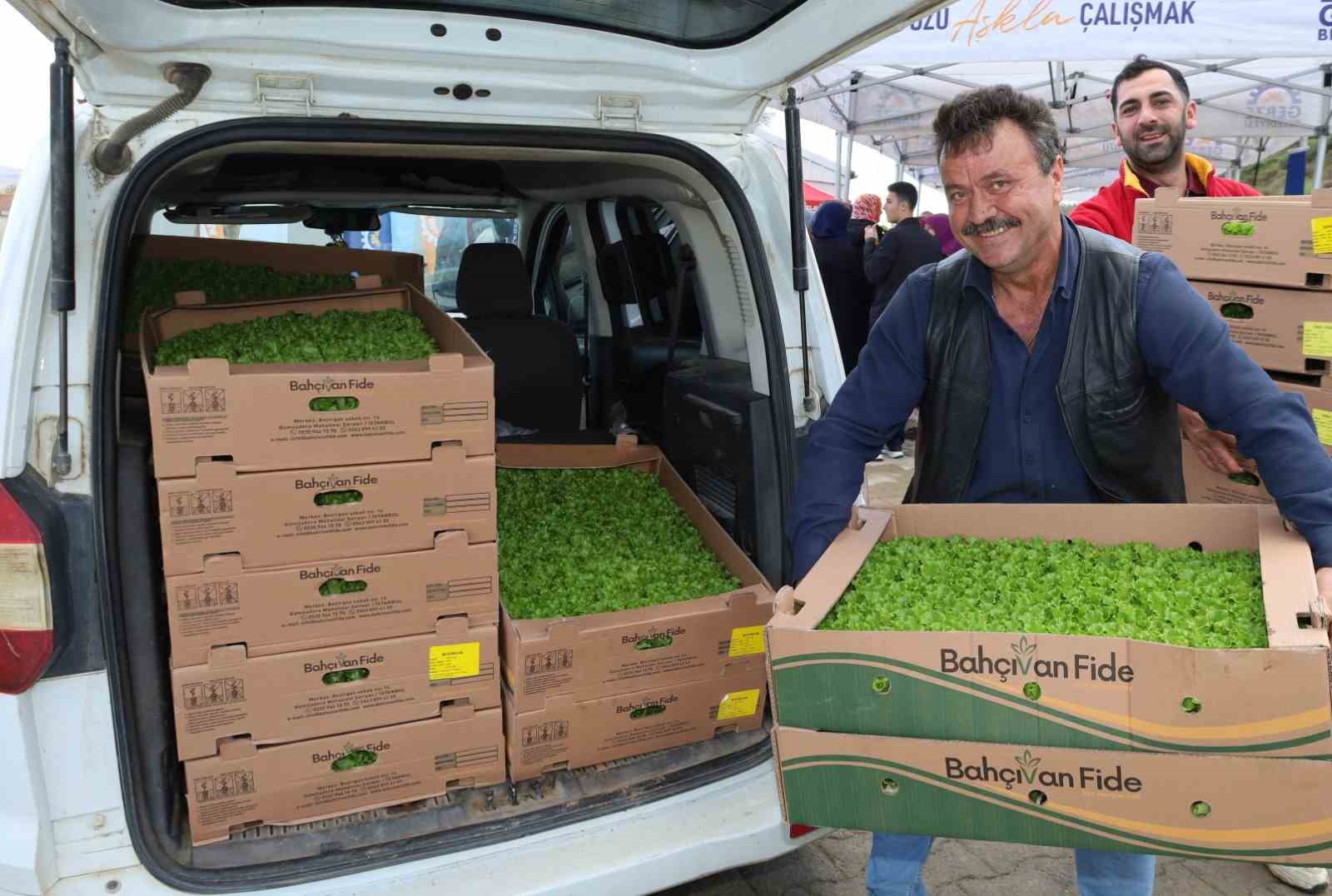 İşlenmeyen araziler üretime dönüyor: Çiftçilere yüzde 75 hibeli fide desteği
