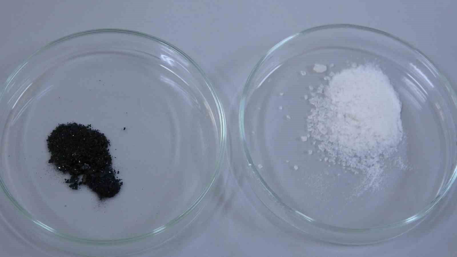 Isparta’da endemik bitkiden doğaya zarar vermeden kanserle mücadeleye umut olacak üretim modeli geliştiriliyor
