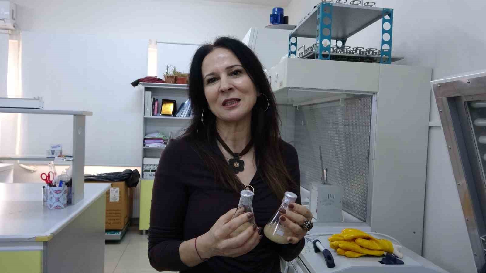 Isparta’da endemik bitkiden doğaya zarar vermeden kanserle mücadeleye umut olacak üretim modeli geliştiriliyor
