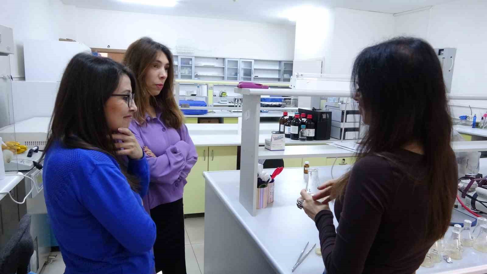 Isparta’da endemik bitkiden doğaya zarar vermeden kanserle mücadeleye umut olacak üretim modeli geliştiriliyor
