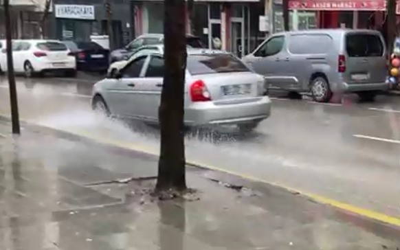 Isparta’da fırtına ağacı kökünden söktü
