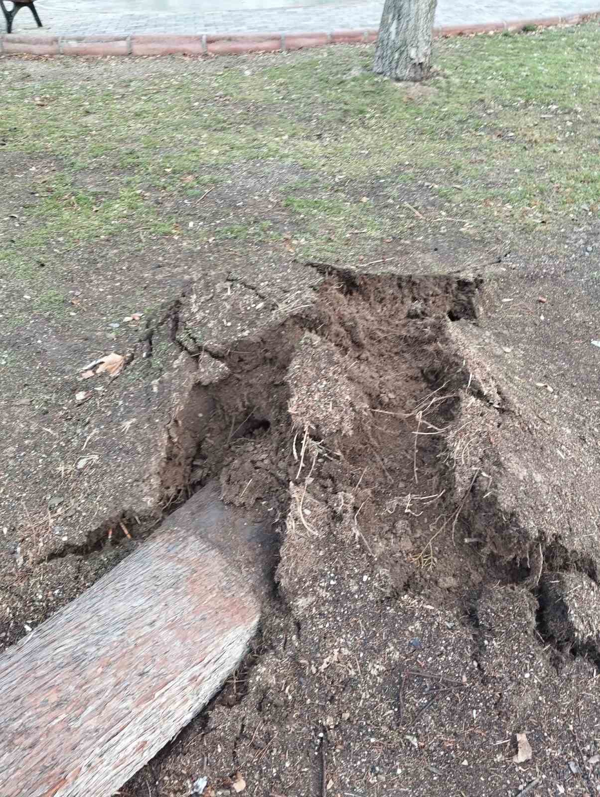 Isparta’da fırtına ağacı kökünden söküp park halindeki aracın üzerine devirdi
