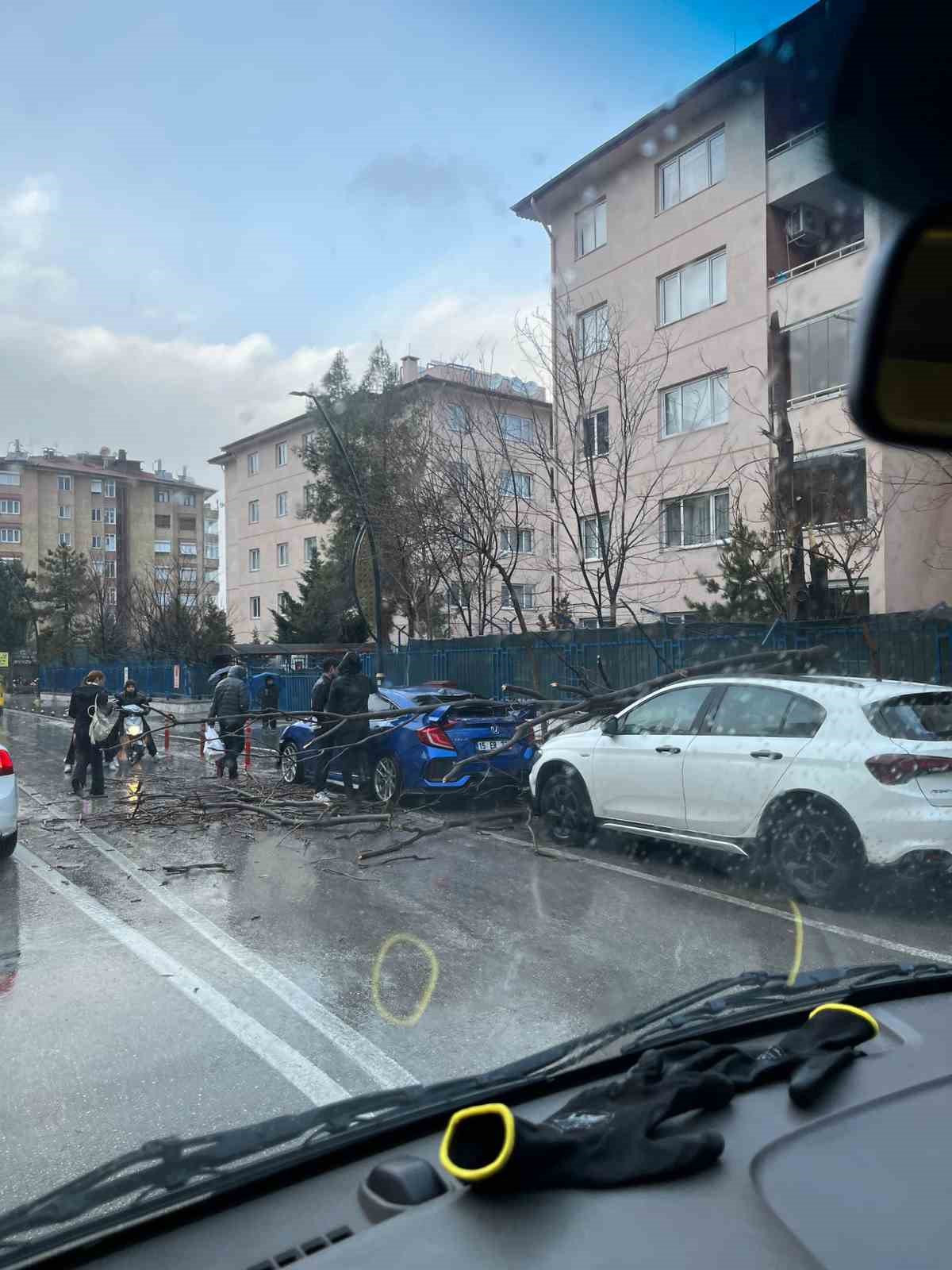 Isparta’da fırtına ağaçları devirdi, araçlar hasar gördü
